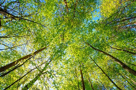 Mantel raises strategic investment to scale commercial carbon capture deployment