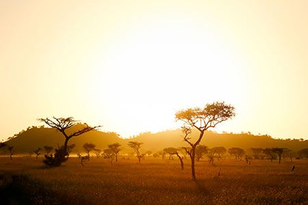 Zululand Energy Terminal advances LNG import project with ExxonMobil