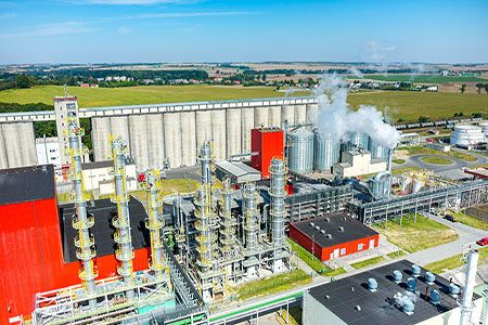 Dairy waste as biofuel feedstock