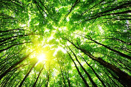Expander Energy selects Axens technology